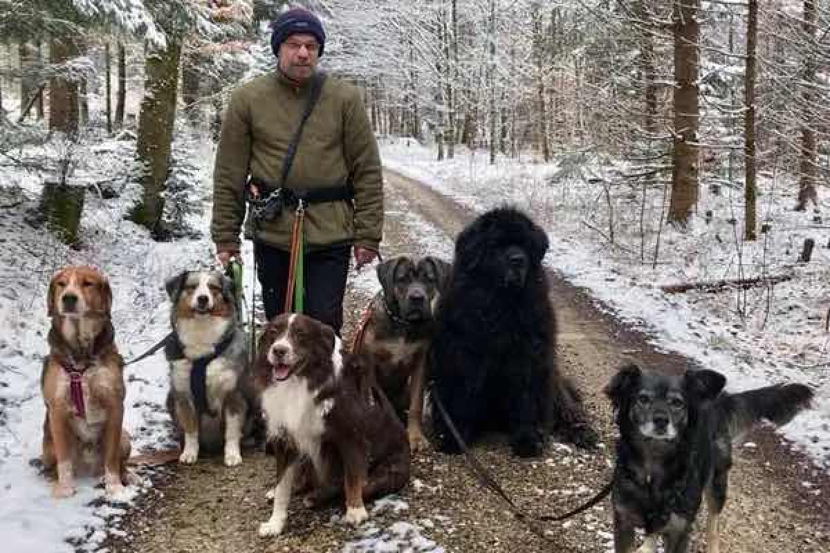 Eine Runde Gassi Gehen im Schnee