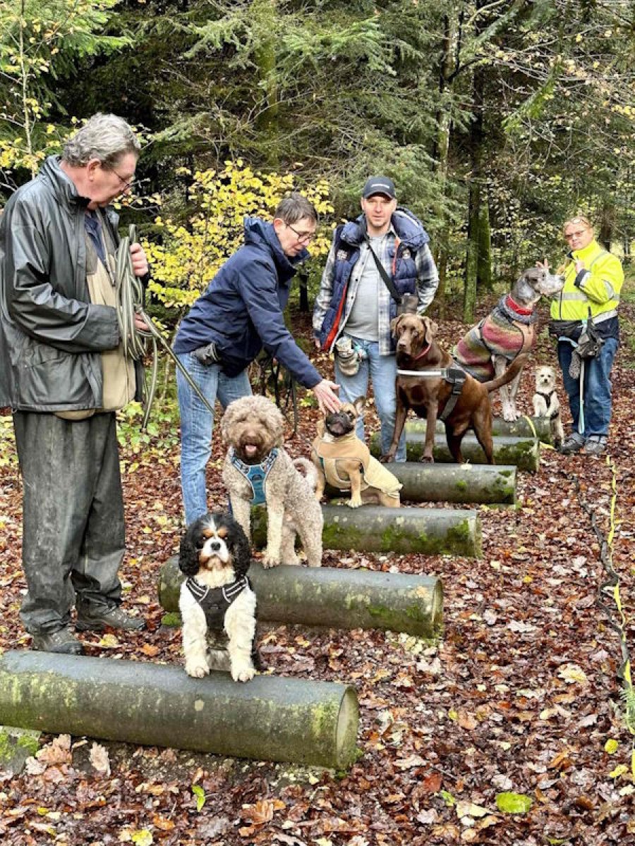 Mobiles Hundetraining