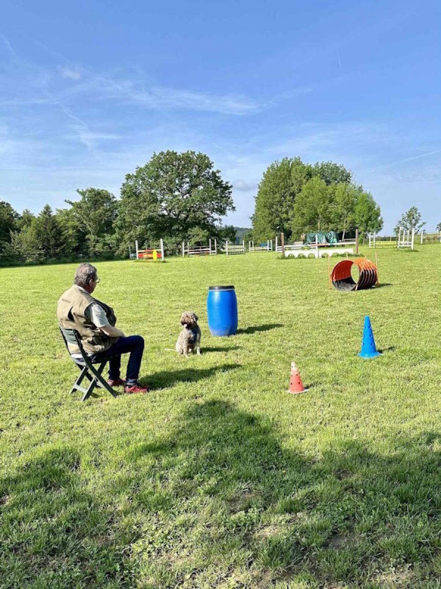 Trainingsplatz für Hunde